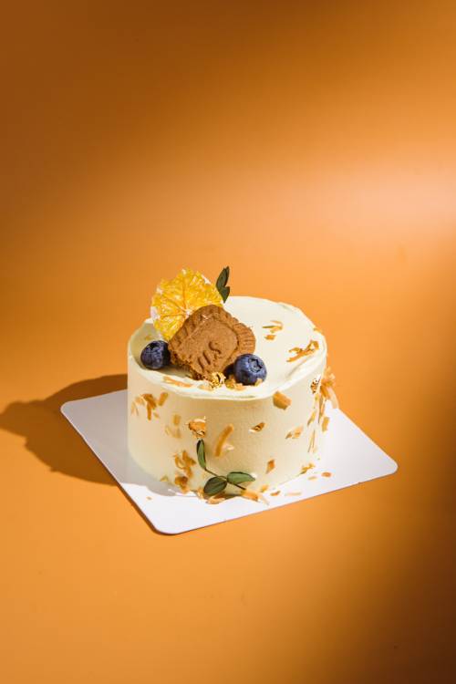 Forest Vibe Bento Cake